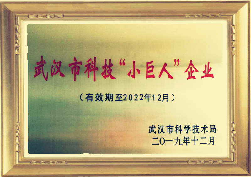 武汉市科技小巨人201912图片框_副本.jpg